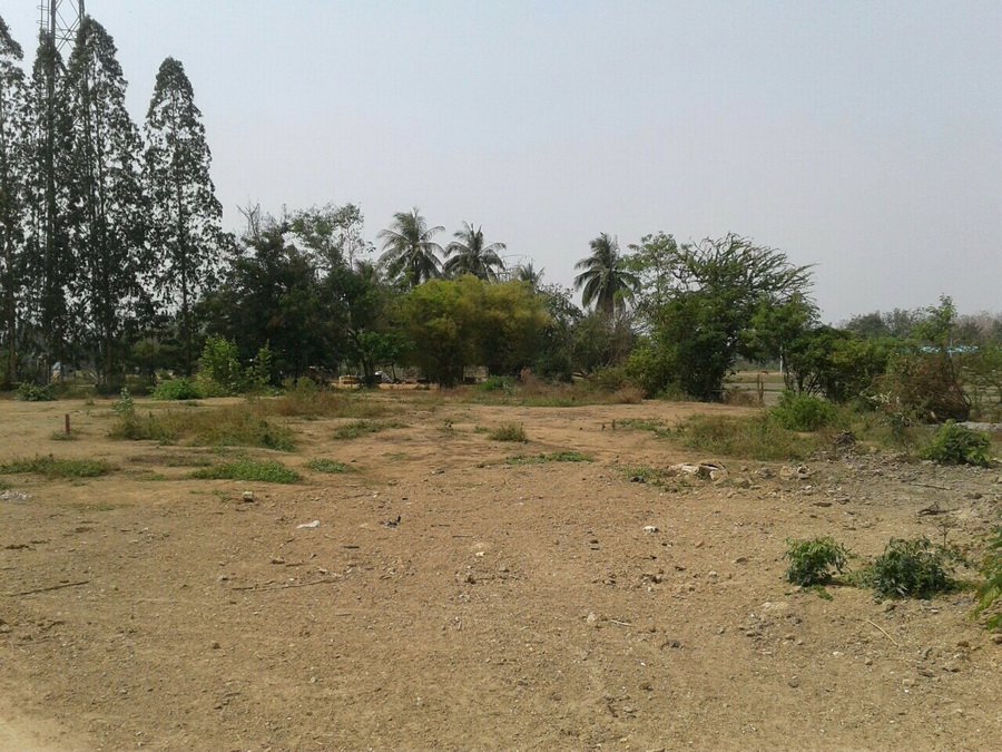 ขายที่ดิน-3-ไร่-753-ตรว-ใกล้ถนนใหญ่เพชรเกษม-เข้าซอยเพียง-250-ม