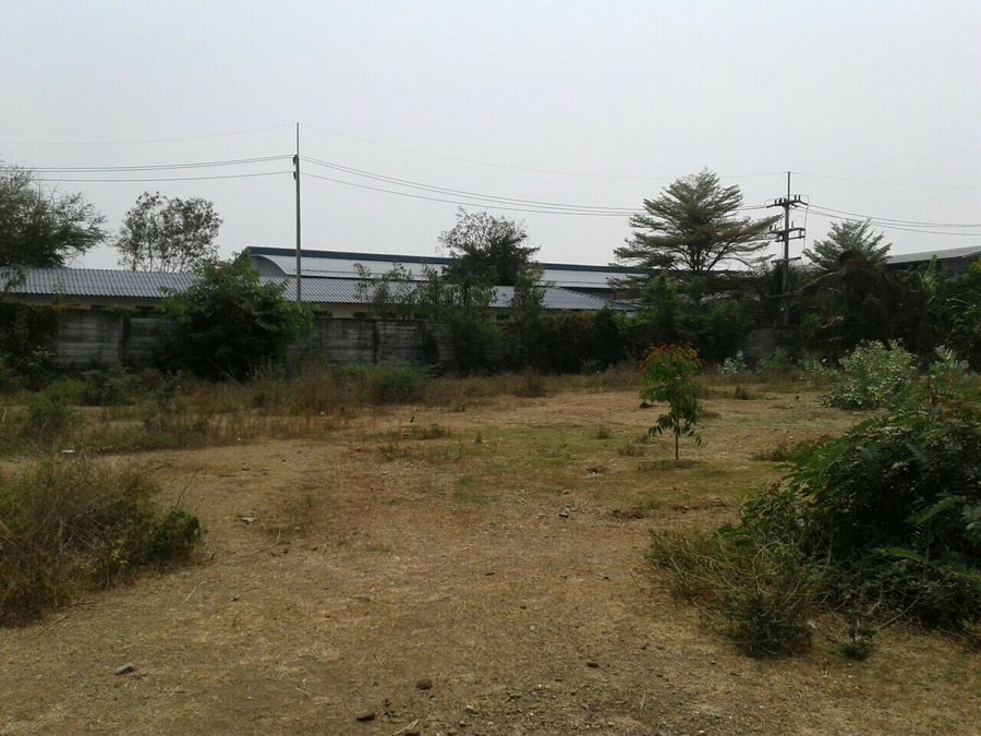 ขายที่ดิน-3-ไร่-753-ตรว-ใกล้ถนนใหญ่เพชรเกษม-เข้าซอยเพียง-250-ม