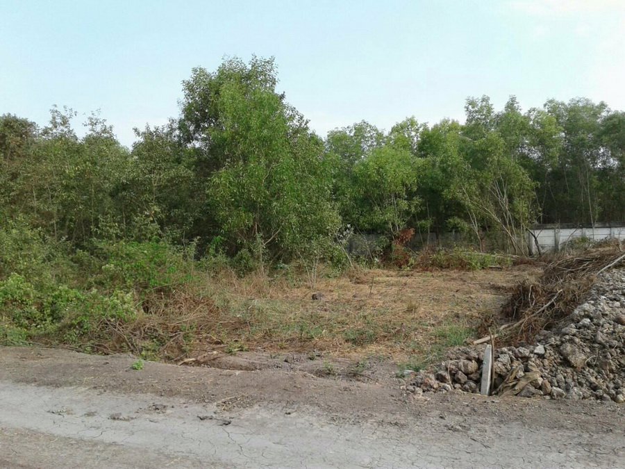 ที่ดินเปล่า-300-ตรว-ถฤชุพันธ์4-ไทรใหญ่-เข้าซอยอีกเพียง-324-ม-อยู่ซ้ายมือ