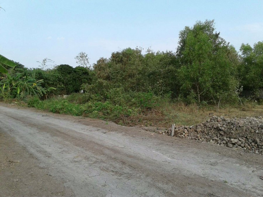 ที่ดินเปล่า-300-ตรว-ถฤชุพันธ์4-ไทรใหญ่-เข้าซอยอีกเพียง-324-ม-อยู่ซ้ายมือ