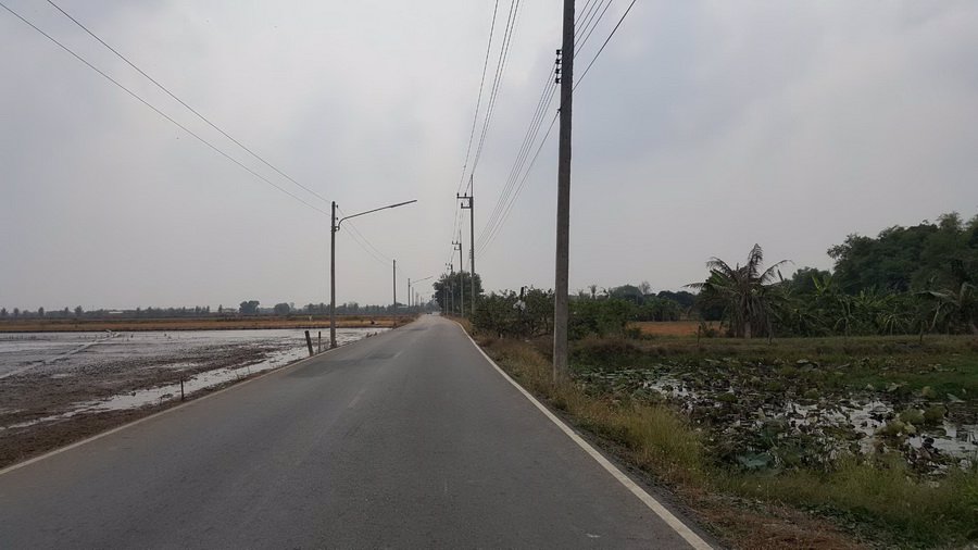 ขายที่ดินเปล่า-95-3-31-ไร่-ถศาลาแดง ที่ดินอยู่ในซอยวัดสว่างอารมณ์