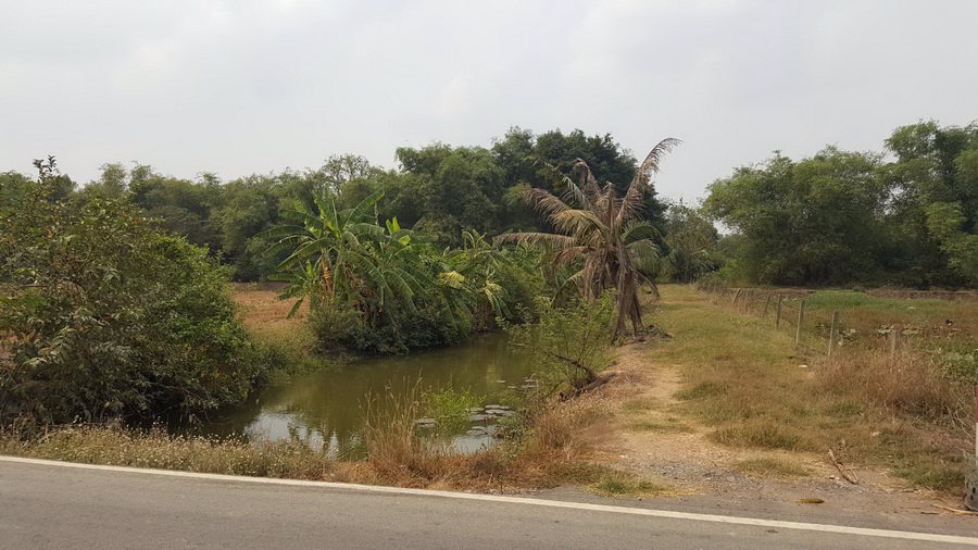 ขายที่ดินเปล่า-95-3-31-ไร่-ถศาลาแดง ที่ดินอยู่ในซอยวัดสว่างอารมณ์