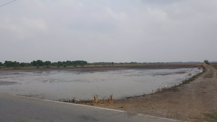 ขายที่ดินเปล่า-95-3-31-ไร่-ถศาลาแดง ที่ดินอยู่ในซอยวัดสว่างอารมณ์