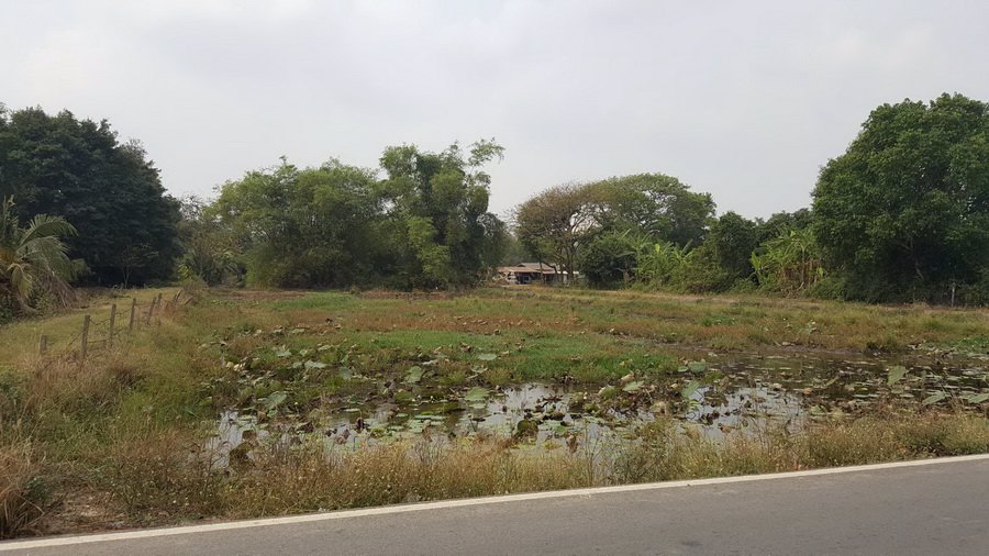 ขายที่ดินเปล่า-95-3-31-ไร่-ถศาลาแดง ที่ดินอยู่ในซอยวัดสว่างอารมณ์