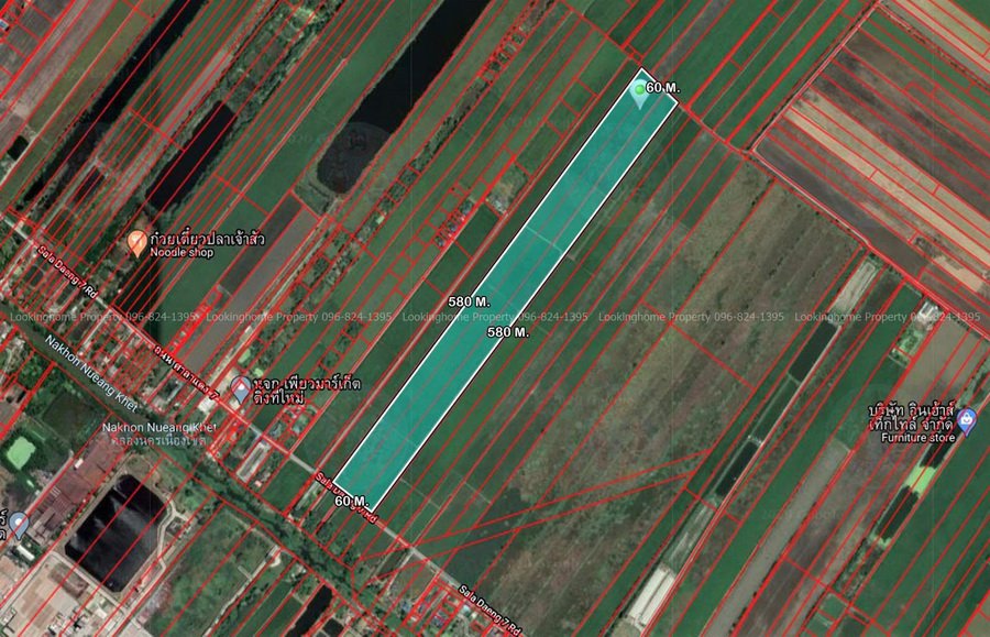 ขายที่ดินเปล่า-95-3-31-ไร่-ถศาลาแดง ที่ดินอยู่ในซอยวัดสว่างอารมณ์