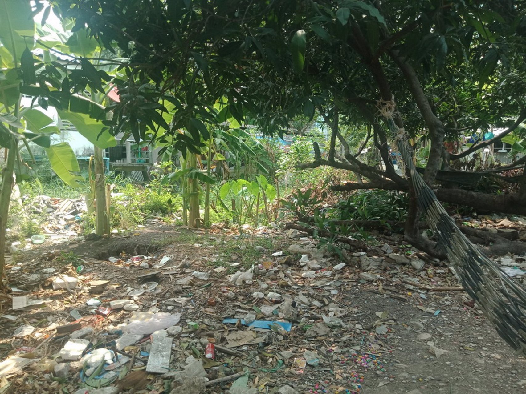 ขายที่ดินเปล่า-100-ตรว-ถลาดพร้าว101แยก29