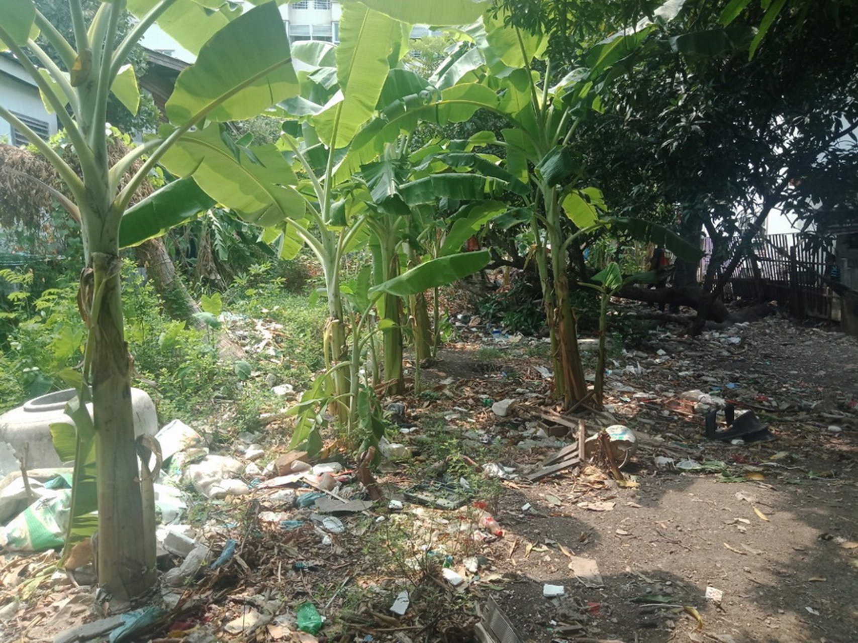 ขายที่ดินเปล่า-100-ตรว-ถลาดพร้าว101แยก29