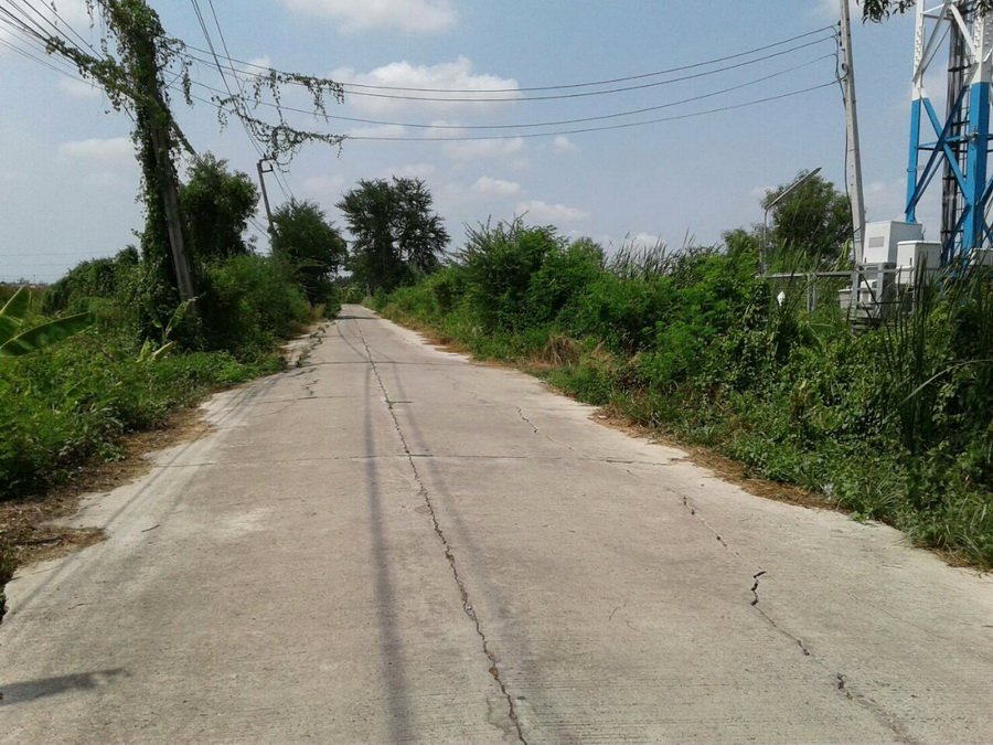 ขายที่ดินพร้อมผู้เช่า-ขนาด-50-ตรว-ซอยเลียบวารี35-เขตหนองจอก-เข้าซอยเพียง-600-ม