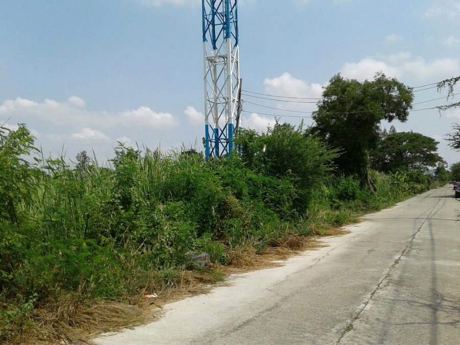 ขายที่ดินพร้อมผู้เช่า-ขนาด-50-ตรว-ซอยเลียบวารี35-เขตหนองจอก-เข้าซอยเพียง-600-ม