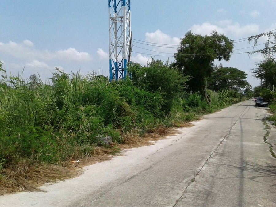 ขายที่ดินพร้อมผู้เช่า-ขนาด-50-ตรว-ซอยเลียบวารี35-เขตหนองจอก-เข้าซอยเพียง-600-ม