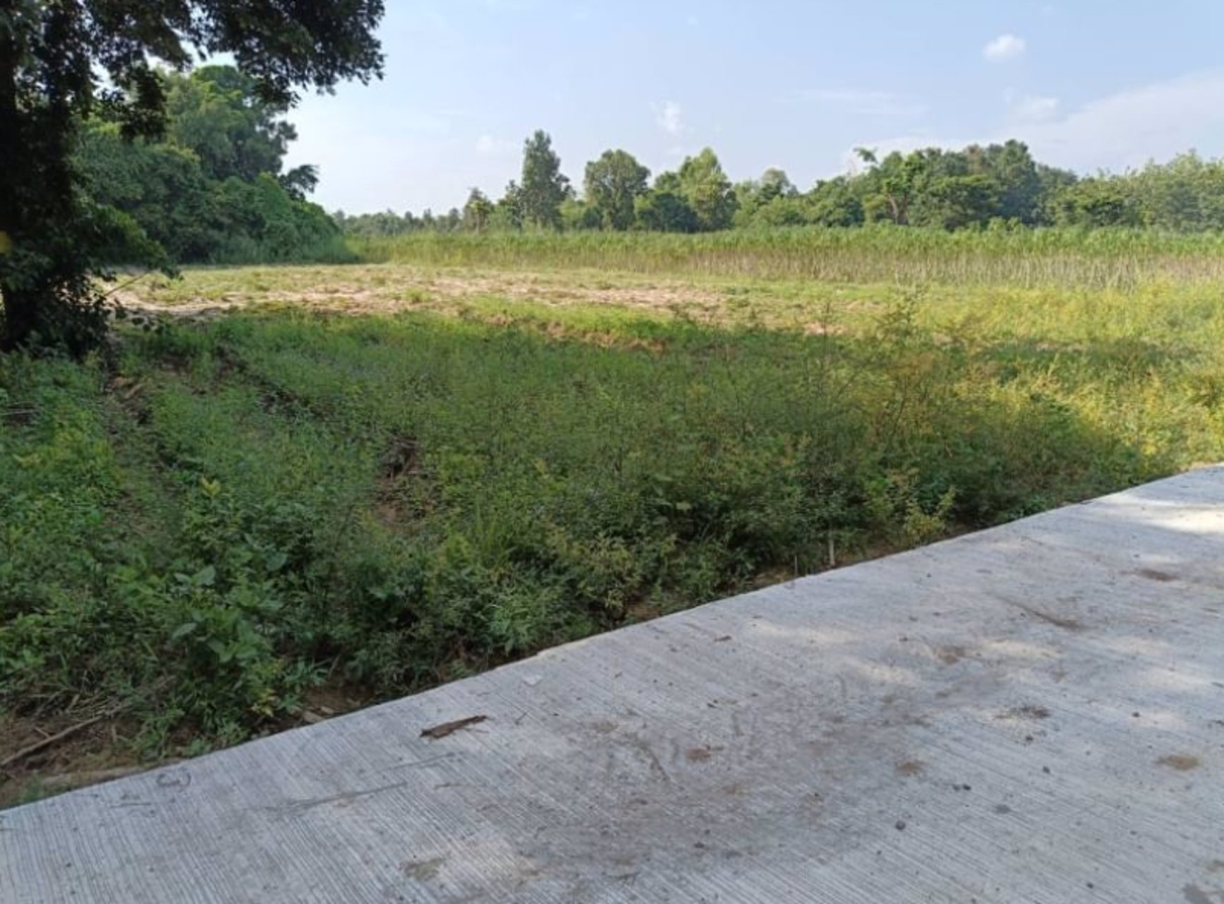 ขายที่-ทำสวน-ติดบ้าน-เนื้อที่-2-ไร่-2-งาน-53-ตรว