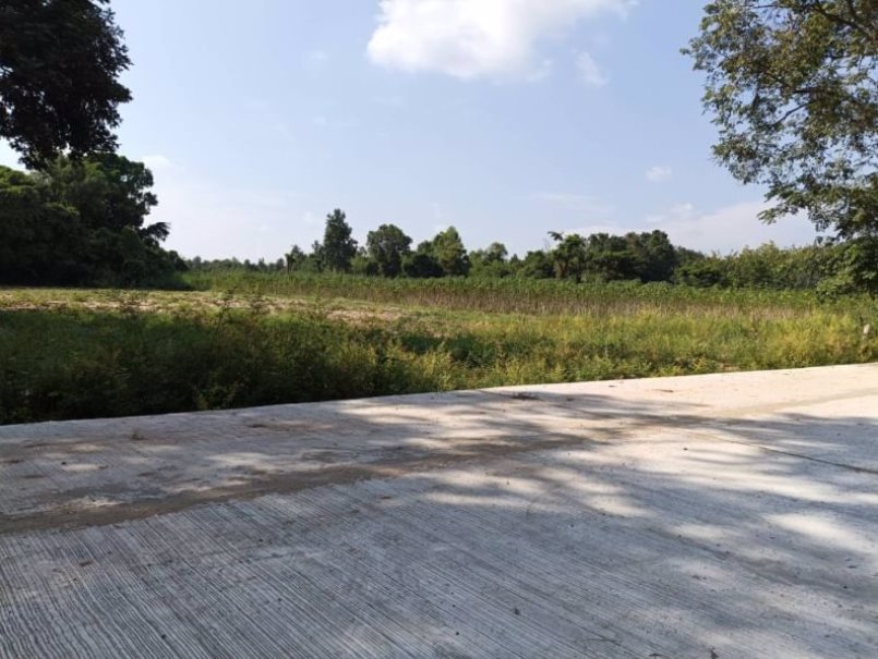 ขายที่-ทำสวน-ติดบ้าน-เนื้อที่-2-ไร่-2-งาน-53-ตรว