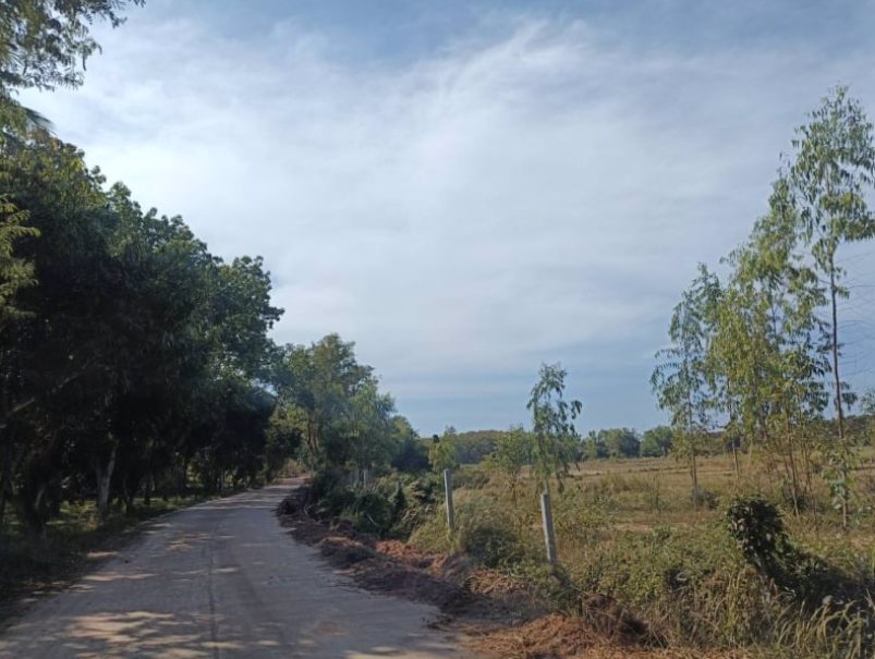 ขายที่-ทำสวน-ติดบ้าน-เนื้อที่-2-ไร่-2-งาน-53-ตรว