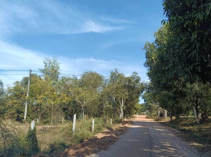 ขายที่-ทำสวน-ติดบ้าน-เนื้อที่-2-ไร่-2-งาน-53-ตรว