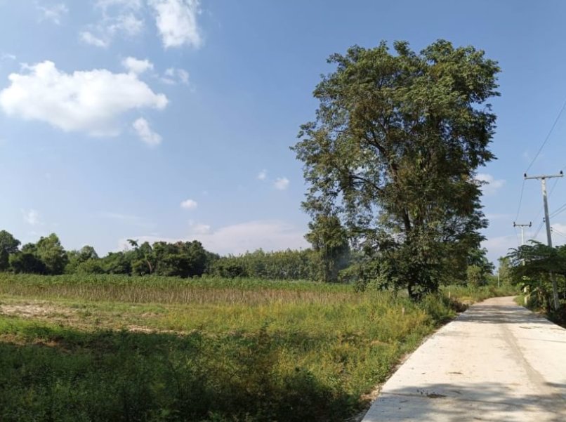 ขายที่-ทำสวน-ติดบ้าน-เนื้อที่-2-ไร่-2-งาน-53-ตรว