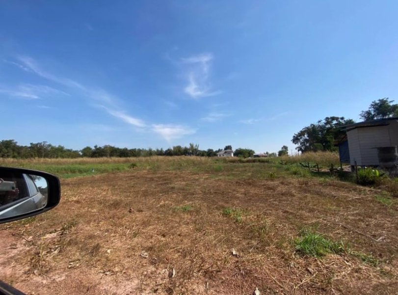 ขายที่-ทำสวน-ติดบ้าน-เนื้อที่-2-ไร่-2-งาน-53-ตรว