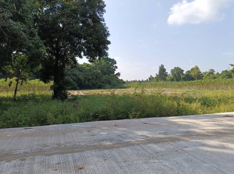 ขายที่-ทำสวน-ติดบ้าน-เนื้อที่-2-ไร่-2-งาน-53-ตรว