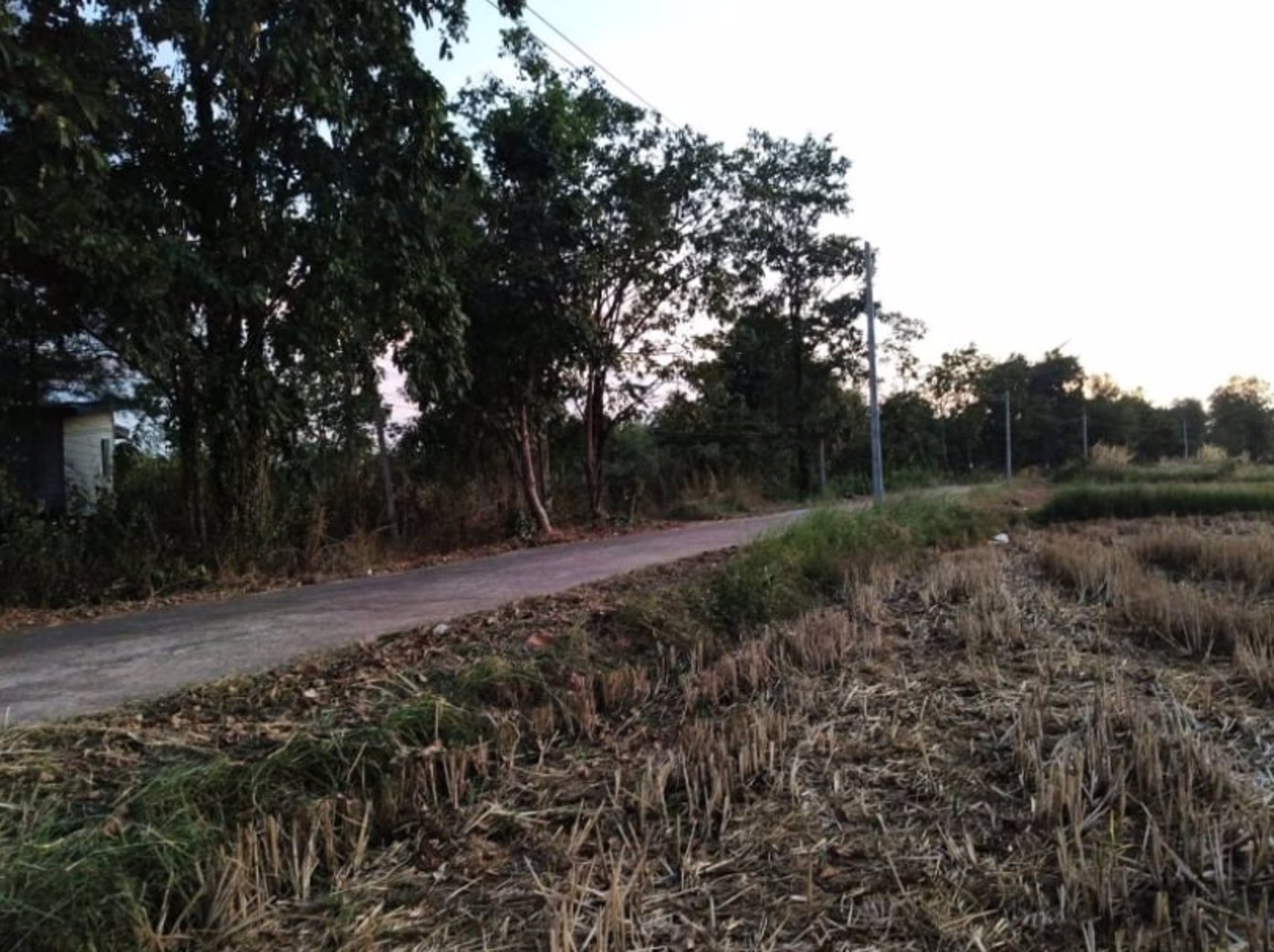 ขายที่ดินข้างบ้าน-2ชั้น-2ไร่-3งาน-16ตรว