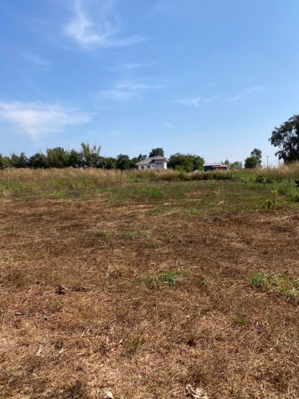 ขายที่ดินข้างบ้าน-2ชั้น-2ไร่-3งาน-16ตรว