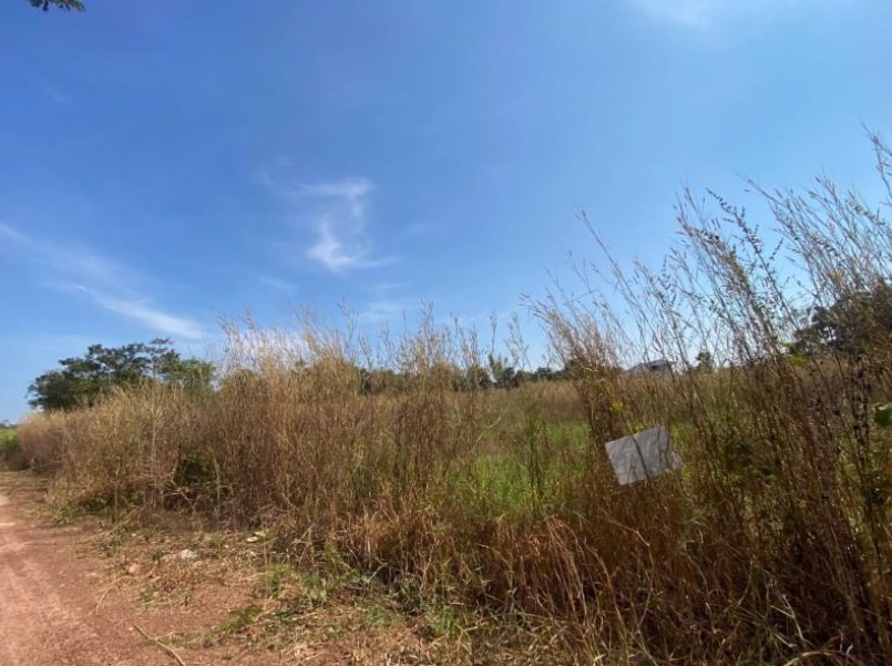 ขายที่ดินข้างบ้าน-2ชั้น-2ไร่-3งาน-16ตรว