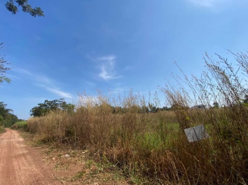 ขายที่ดินข้างบ้าน-2ชั้น-2ไร่-3งาน-16ตรว