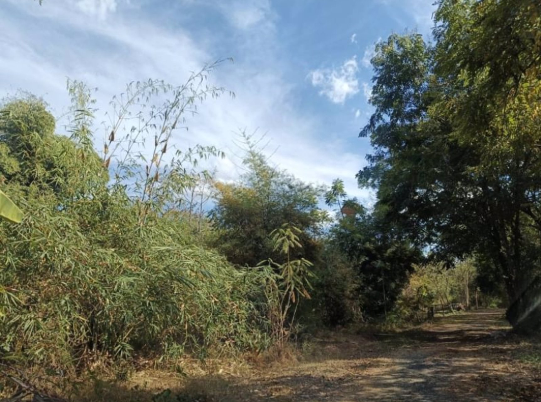 ขายที่ดินติดรั้วรพศูนย์มะเร็งอุดร-เนื้อที่-69ตรว