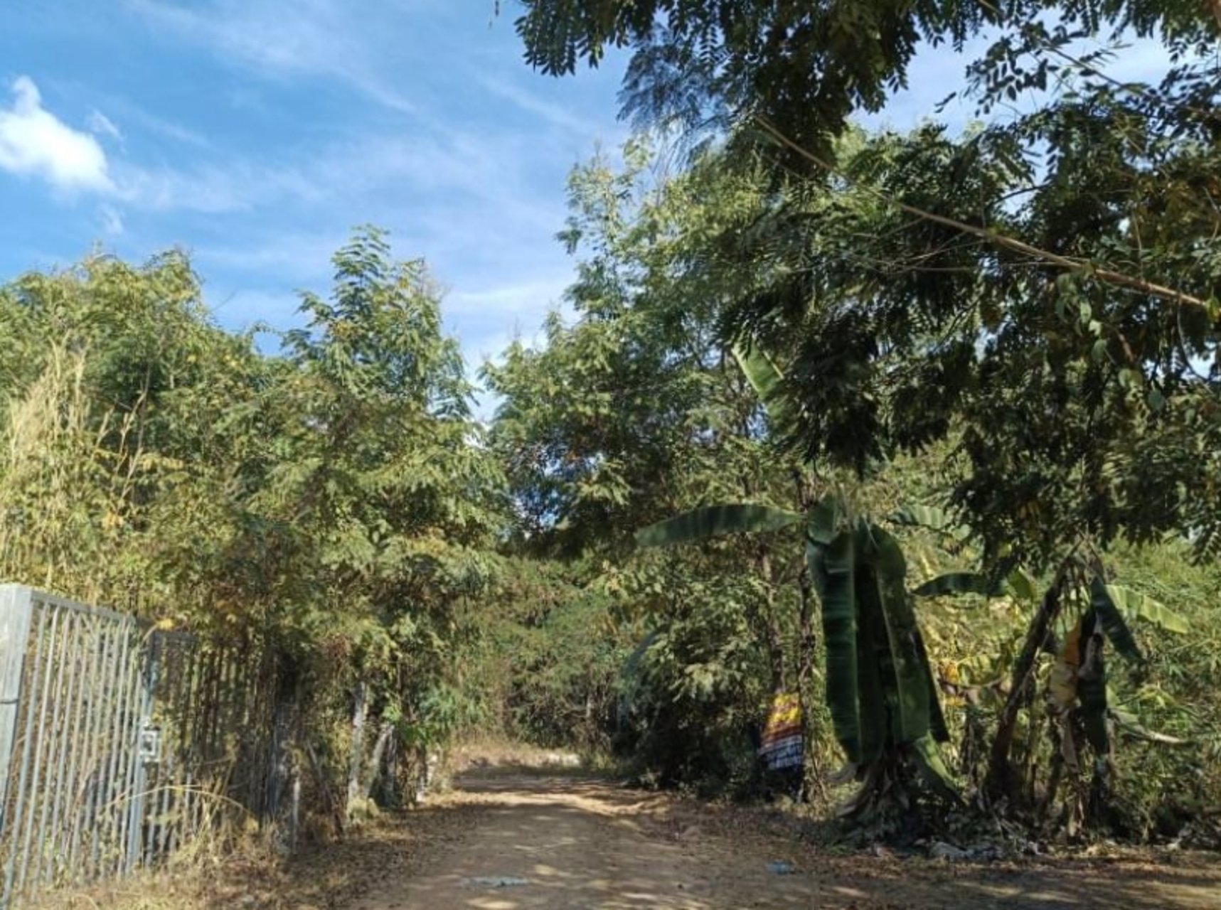 ขายที่ดินติดรั้วรพศูนย์มะเร็งอุดร-เนื้อที่-69ตรว