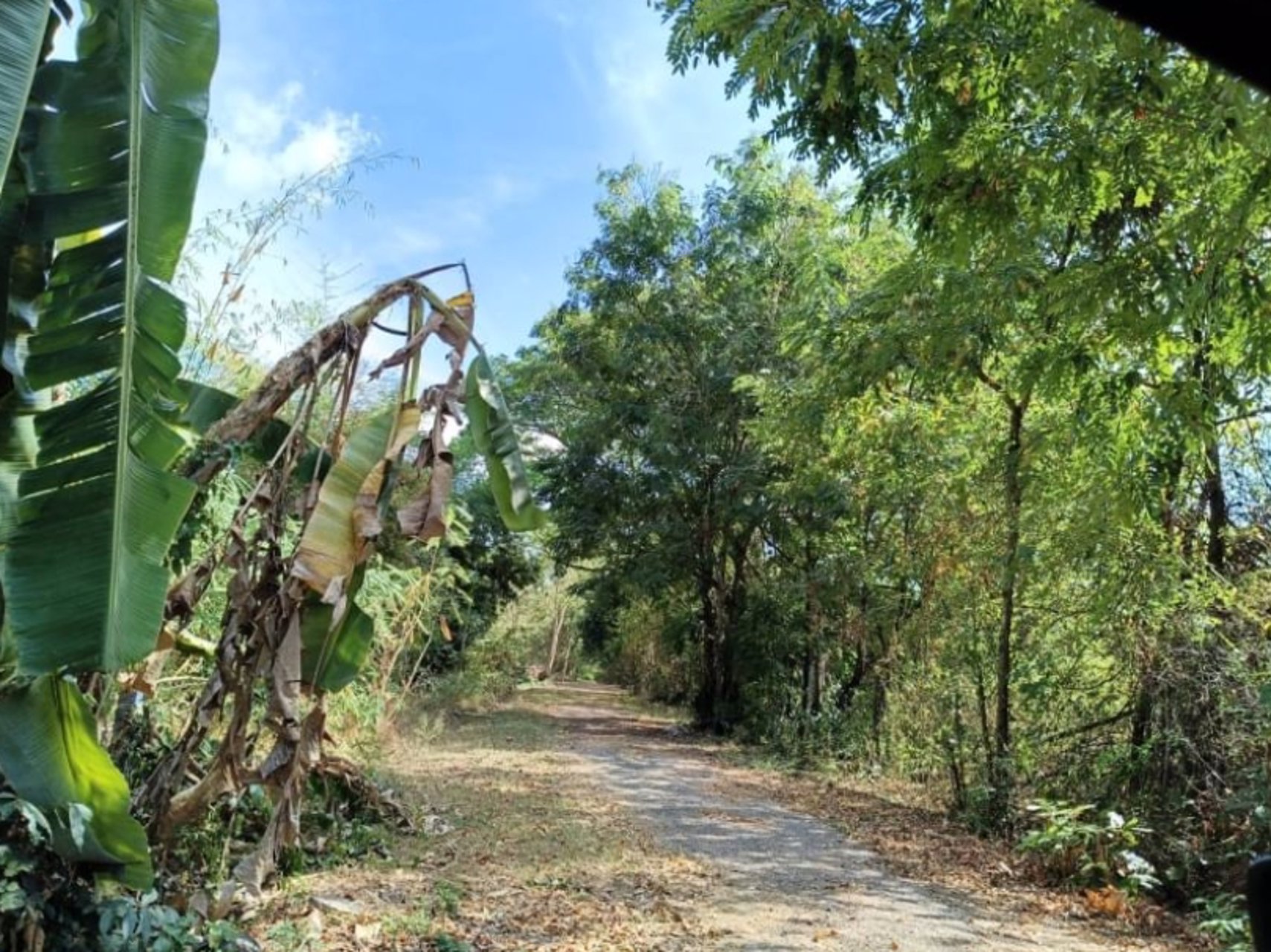 ขายที่ดินติดรั้วรพศูนย์มะเร็งอุดร-เนื้อที่-69ตรว