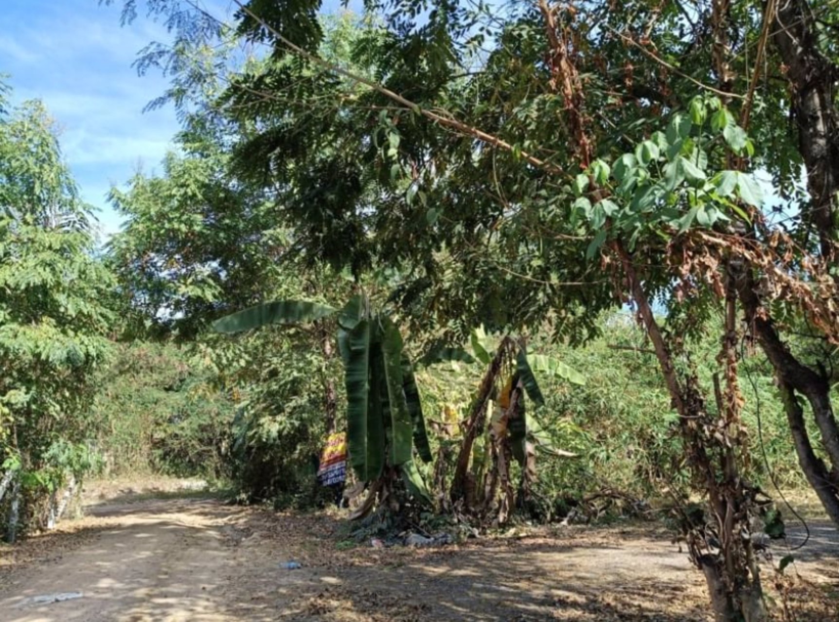 ขายที่ดินติดรั้วรพศูนย์มะเร็งอุดร-เนื้อที่-69ตรว