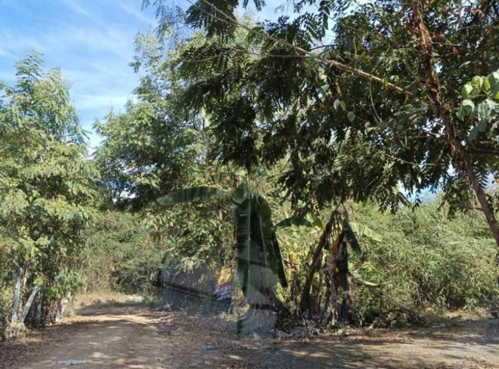 ขายที่ดินติดรั้วรพศูนย์มะเร็งอุดร-เนื้อที่-69ตรว