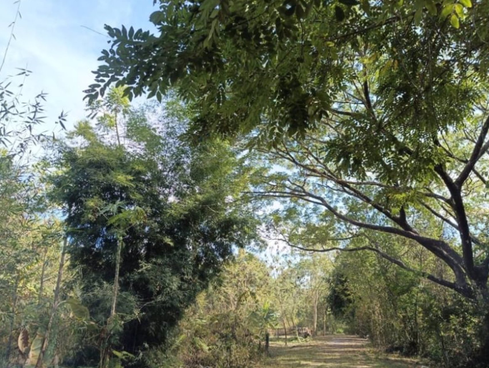 ขายที่ดินติดรั้วรพศูนย์มะเร็งอุดร-เนื้อที่-69ตรว