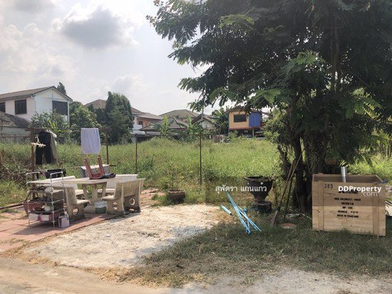 ขายที่ดินด่วนมาก-ที่ดินถมแล้ว-180-ตรว-วาละ-12000-ซวัดลาดปลาดุก-ถูกมากที่สุดในทำเลนี้-ใกล้รถไฟฟ้า