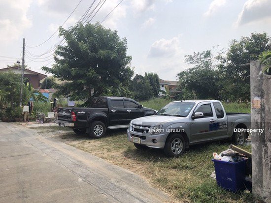 ขายที่ดินด่วนมาก-ที่ดินถมแล้ว-180-ตรว-วาละ-12000-ซวัดลาดปลาดุก-ถูกมากที่สุดในทำเลนี้-ใกล้รถไฟฟ้า