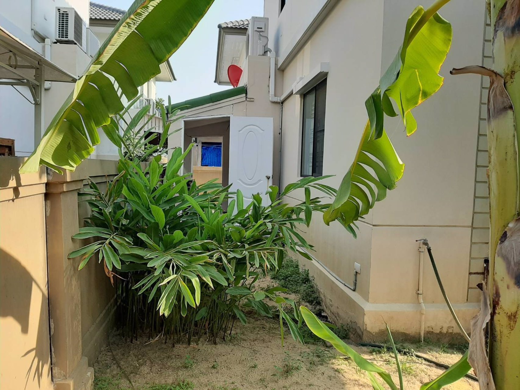 ขายบ้านแฝดสไตส์บ้านเดี่ยว-2-ชั้น-มพฤกษาวิลเลจดีไลท์-ลำลูกกาคลองสี่-ใกล้รถไฟฟ้าสถานีคูคต-สถานีรถไฟ