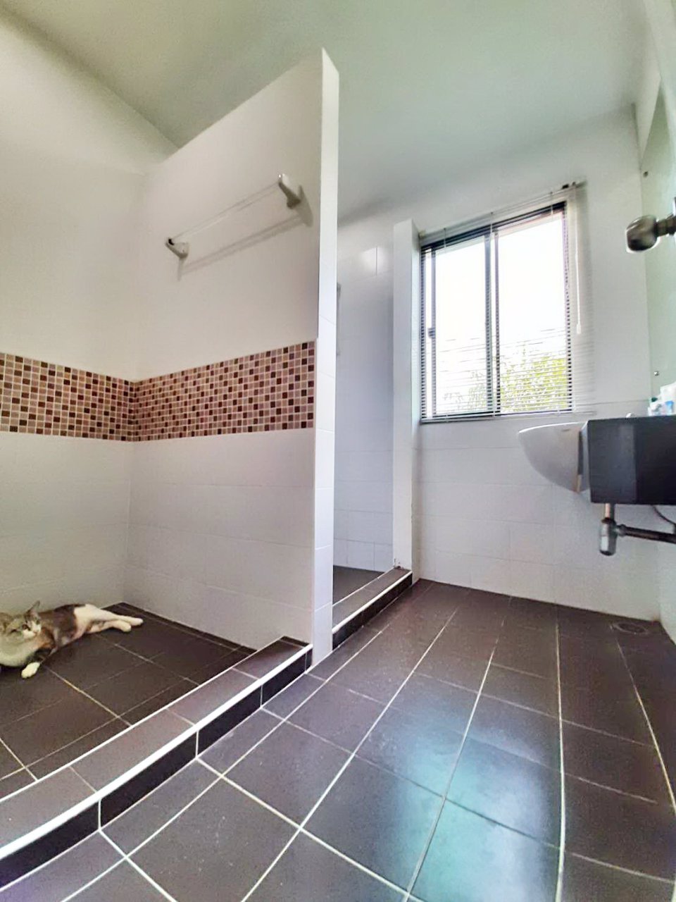 ขายบ้านแฝดสไตส์บ้านเดี่ยว-2-ชั้น-มพฤกษาวิลเลจดีไลท์-ลำลูกกาคลองสี่-ใกล้รถไฟฟ้าสถานีคูคต-สถานีรถไฟ