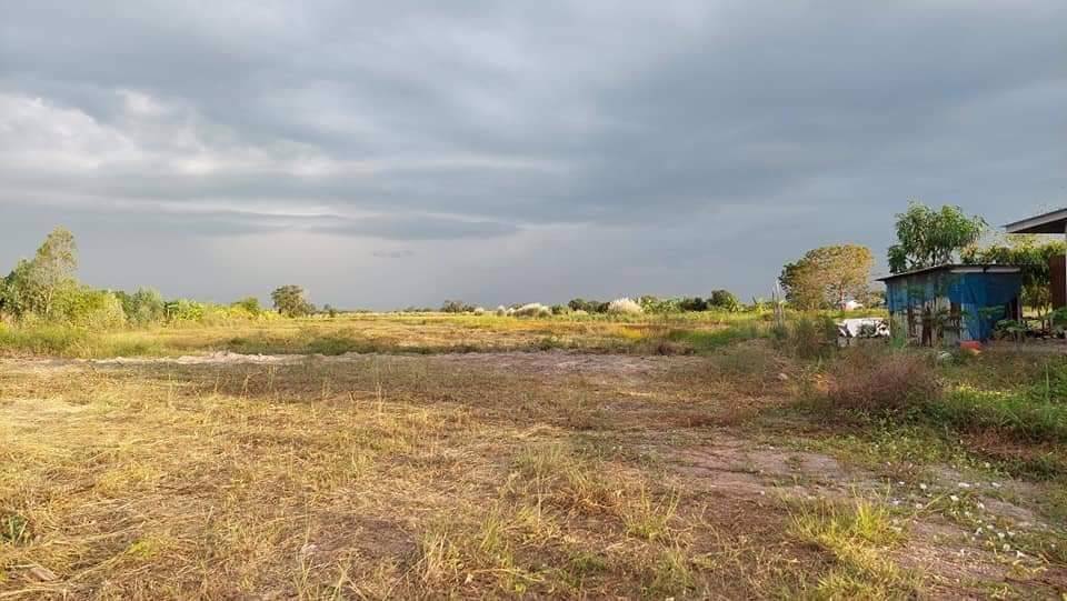 ที่ดินบ้านสวนดอนยอ-ที่ดินแบ่งขาย-เริ่มต้น-200-ตรว