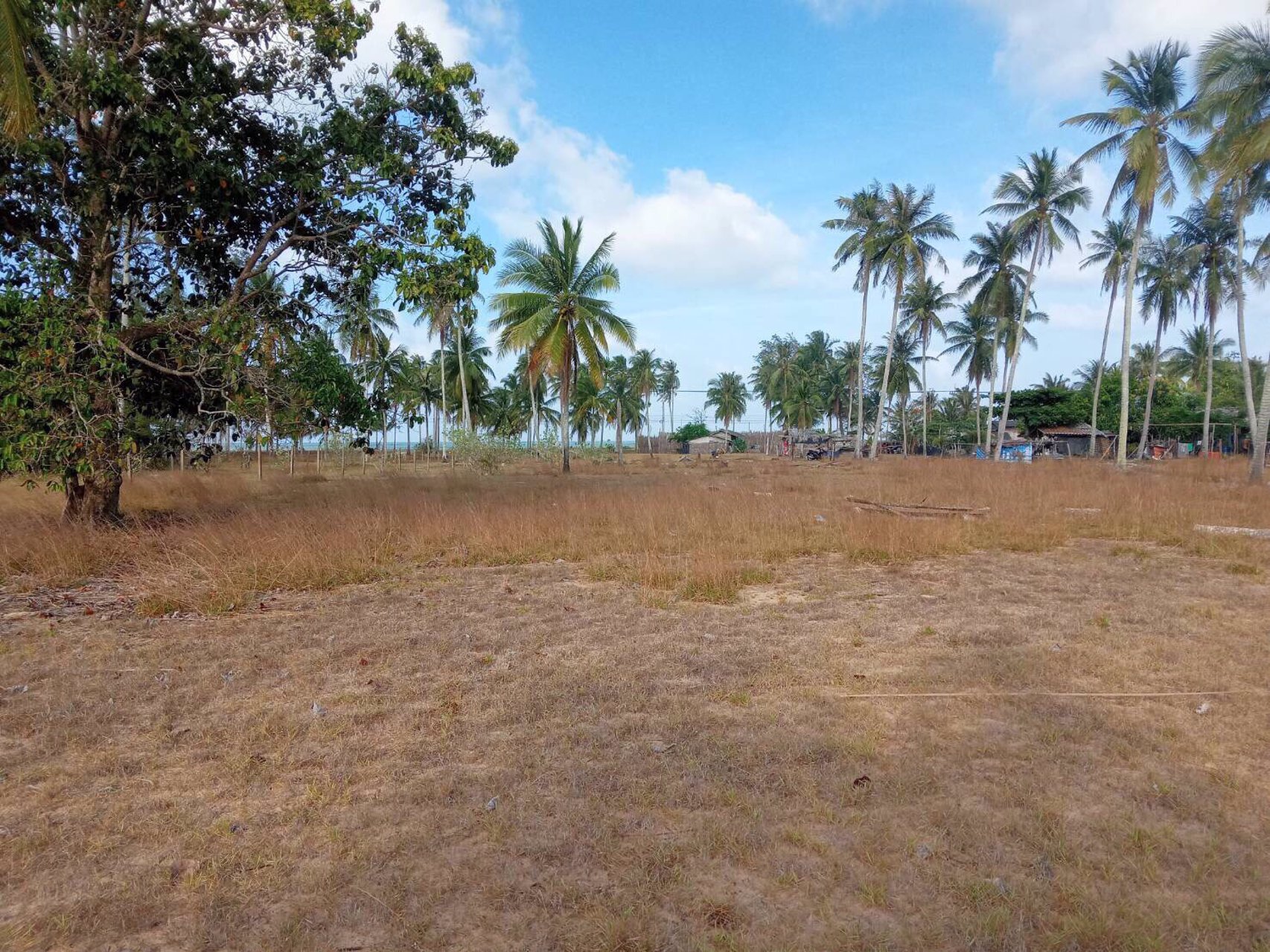 ขายที่ดินทําเลสวยมาก-ติดทะเลบ้านทอน-