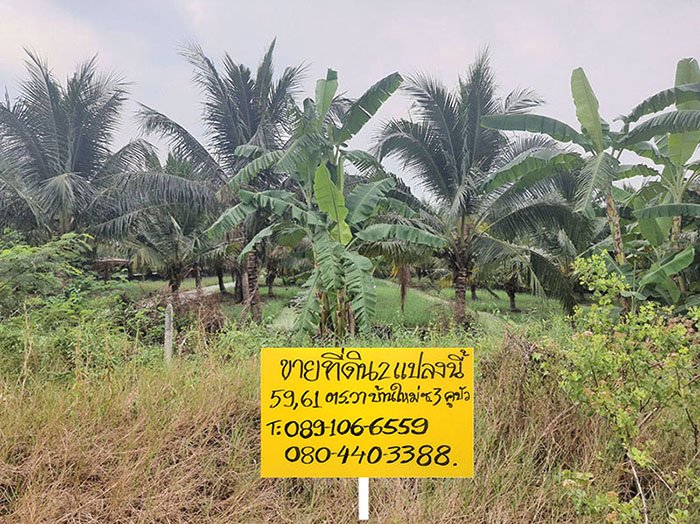 ขายที่ดินคูบัว-ราชบุรี-แปลงเล็กสวยๆ-เหมาะสร้างบ้าน-มีเพื่อนบ้าน-น้ำไฟพร้อม