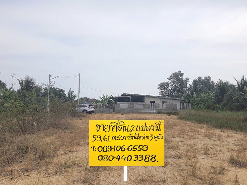 ขายที่ดินคูบัว-ราชบุรี-แปลงเล็กสวยๆ-เหมาะสร้างบ้าน-มีเพื่อนบ้าน-น้ำไฟพร้อม