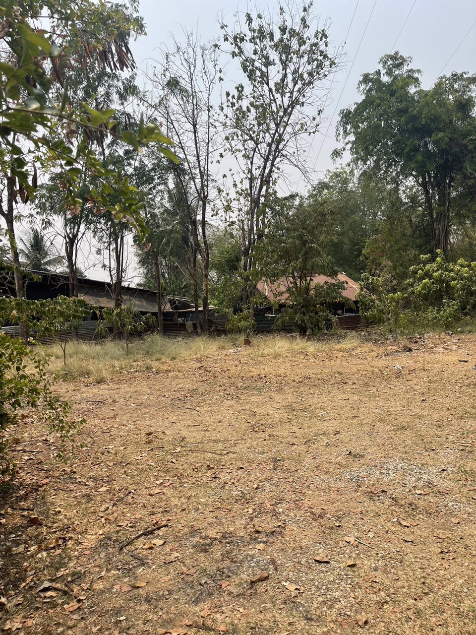 ขายบ้านพร้อมที่ดิน-เนื้อที่-1-ไร่-ตน้ำพี้-อทองแสงขัน-จอุตรดิตถ์