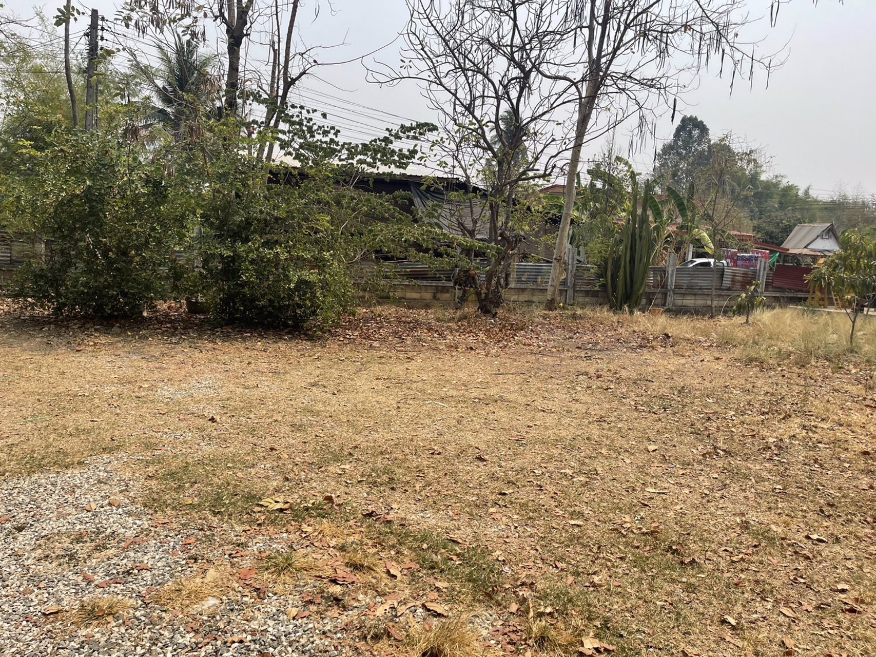 ขายบ้านพร้อมที่ดิน-เนื้อที่-1-ไร่-ตน้ำพี้-อทองแสงขัน-จอุตรดิตถ์