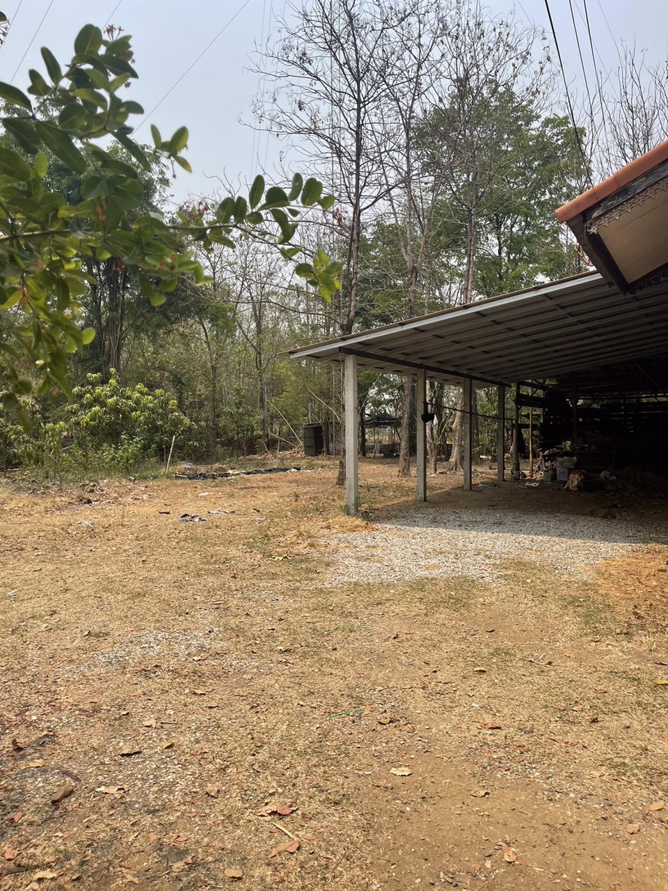 ขายบ้านพร้อมที่ดิน-เนื้อที่-1-ไร่-ตน้ำพี้-อทองแสงขัน-จอุตรดิตถ์