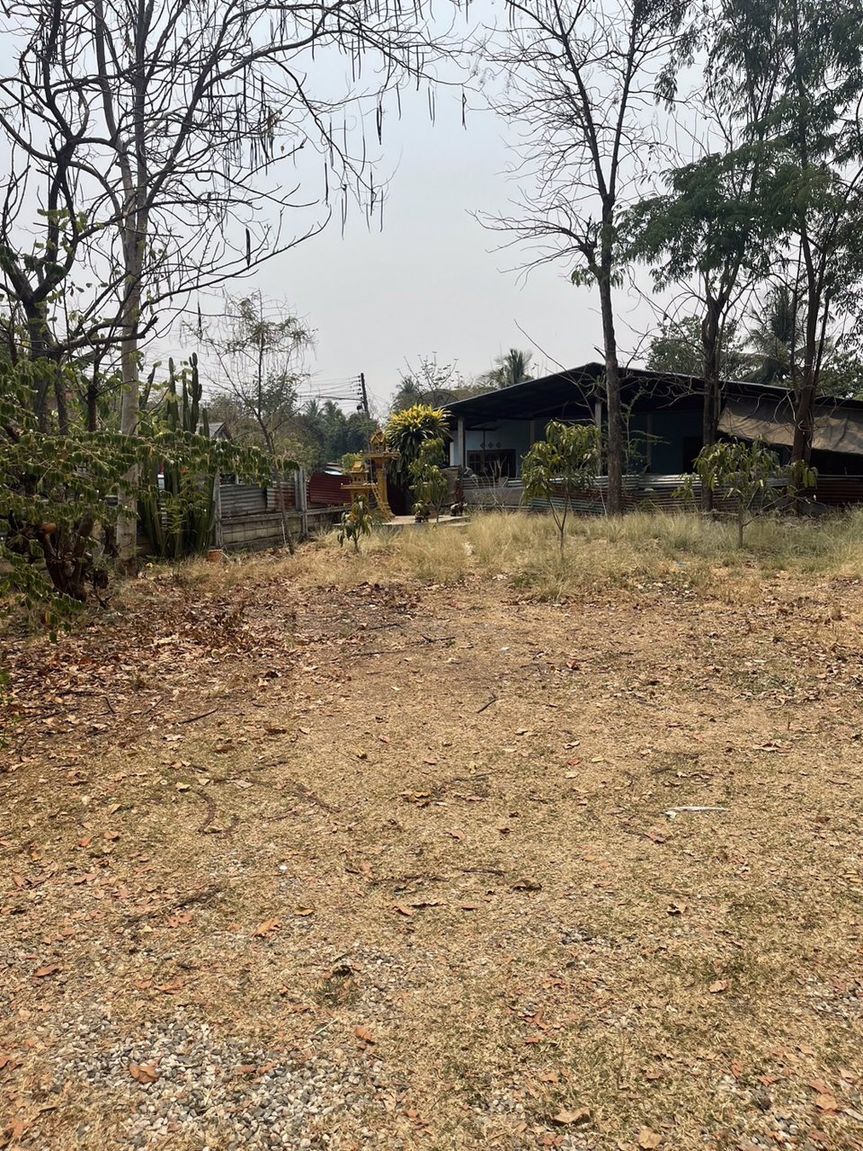 ขายบ้านพร้อมที่ดิน-เนื้อที่-1-ไร่-ตน้ำพี้-อทองแสงขัน-จอุตรดิตถ์