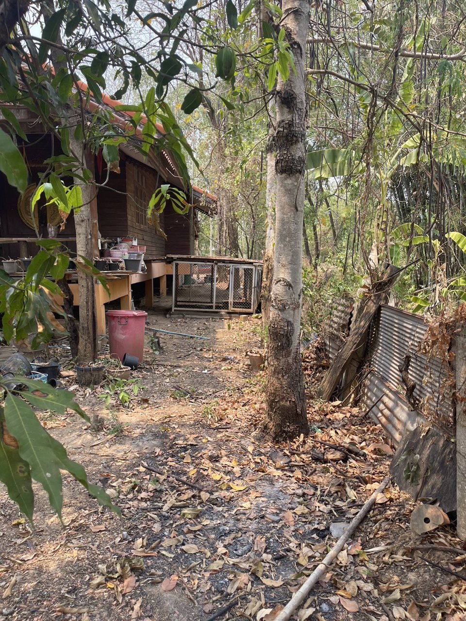 ขายบ้านพร้อมที่ดิน-เนื้อที่-1-ไร่-ตน้ำพี้-อทองแสงขัน-จอุตรดิตถ์