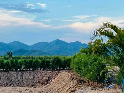 ขายที่ดินติดถนนคอนกรีต-ตไร่ใหม่พัฒนา-อชะอำ-จเพชรบุรี