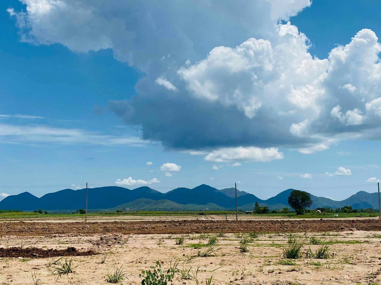 ขายที่ดินติดถนนคอนกรีต-ตไร่ใหม่พัฒนา-อชะอำ-จเพชรบุรี