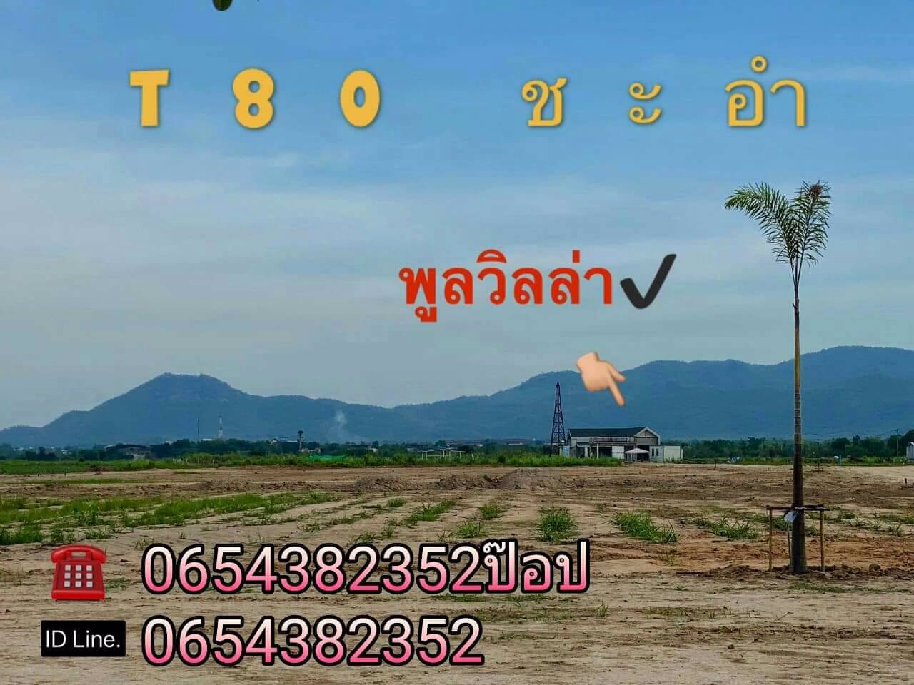 ขายที่ดินติดถนนคอนกรีต-ตไร่ใหม่พัฒนา-อชะอำ-จเพชรบุรี