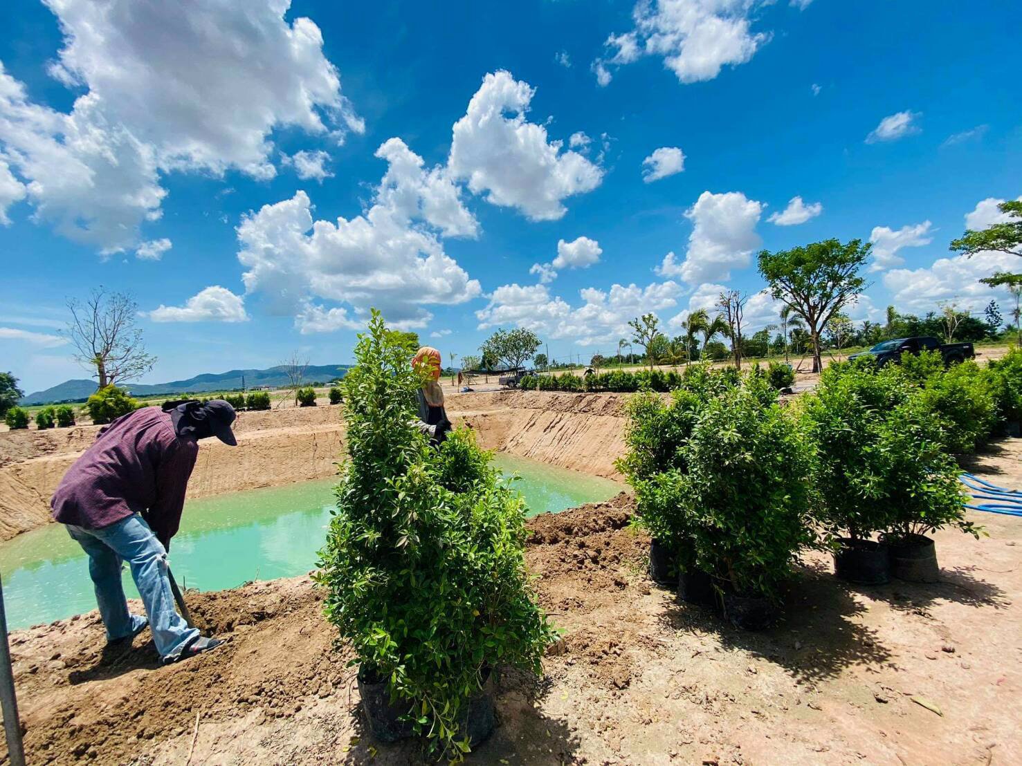ขายที่ดินติดถนนคอนกรีต-ตไร่ใหม่พัฒนา-อชะอำ-จเพชรบุรี