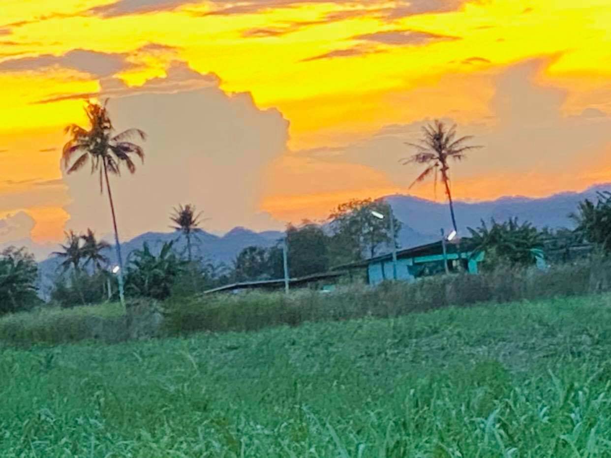 ที่ดินตรงนี้ขึ้น-จังหวัดประจวบคีรีขันธ์-อำเภอหัวหิน-ตำบลหินเหล็กไฟ