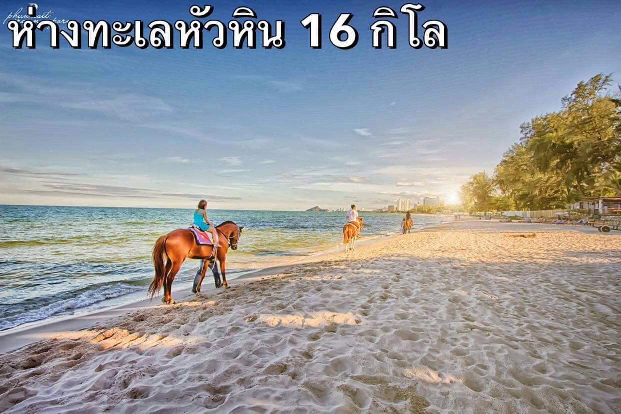 ที่ดินตรงนี้ขึ้น-จังหวัดประจวบคีรีขันธ์-อำเภอหัวหิน-ตำบลหินเหล็กไฟ